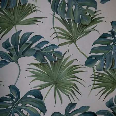 Albaresidence Vico01